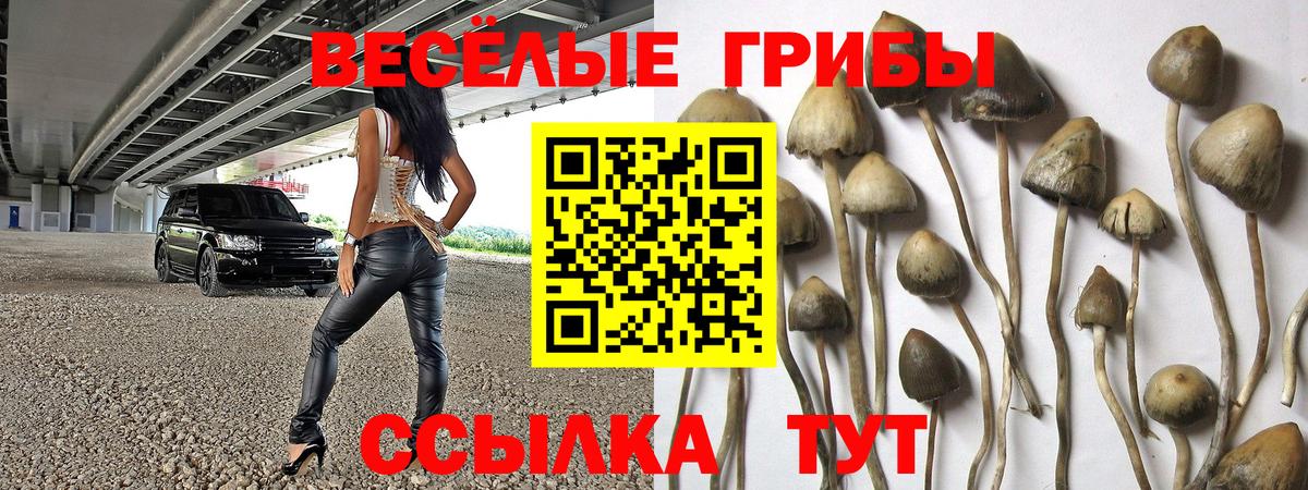 Галлюциногенные грибы ЛСД Муравленко