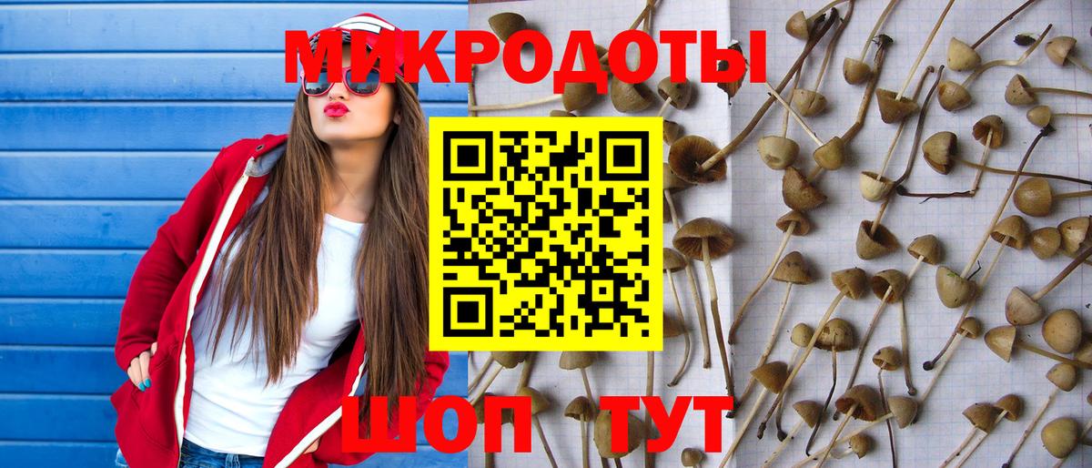 Муравленко  Галлюциногенные грибы ЛСД  Вход с VPN 
